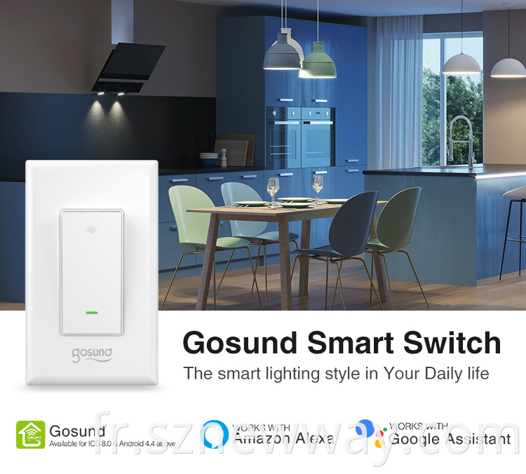 Gosund Smart Switch